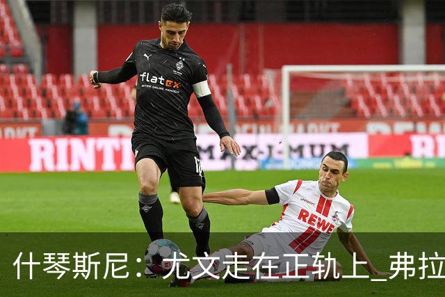 什琴斯尼：尤文走在正轨上 弗拉霍维奇非常出色